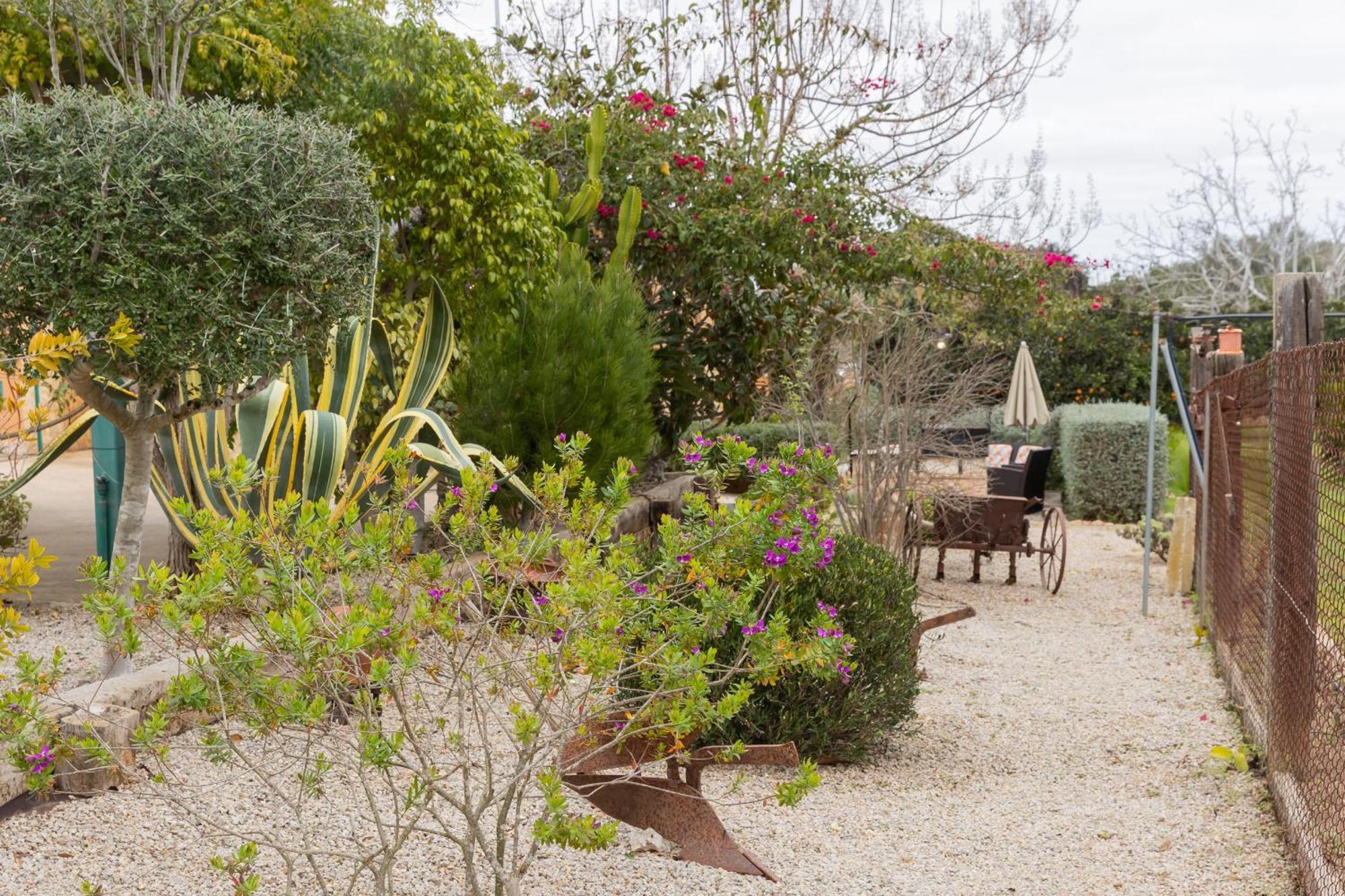 Yourhouse Sa Caseta Villa Llubi