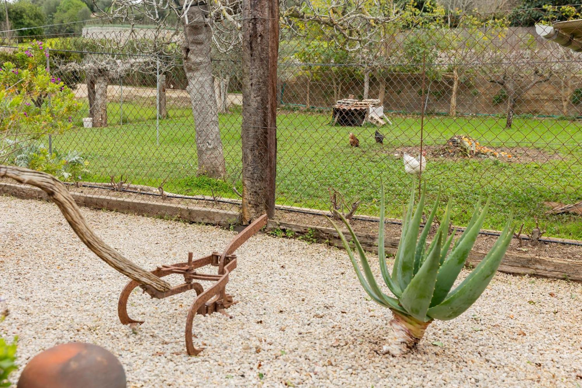Villa Yourhouse Sa Caseta Llubi