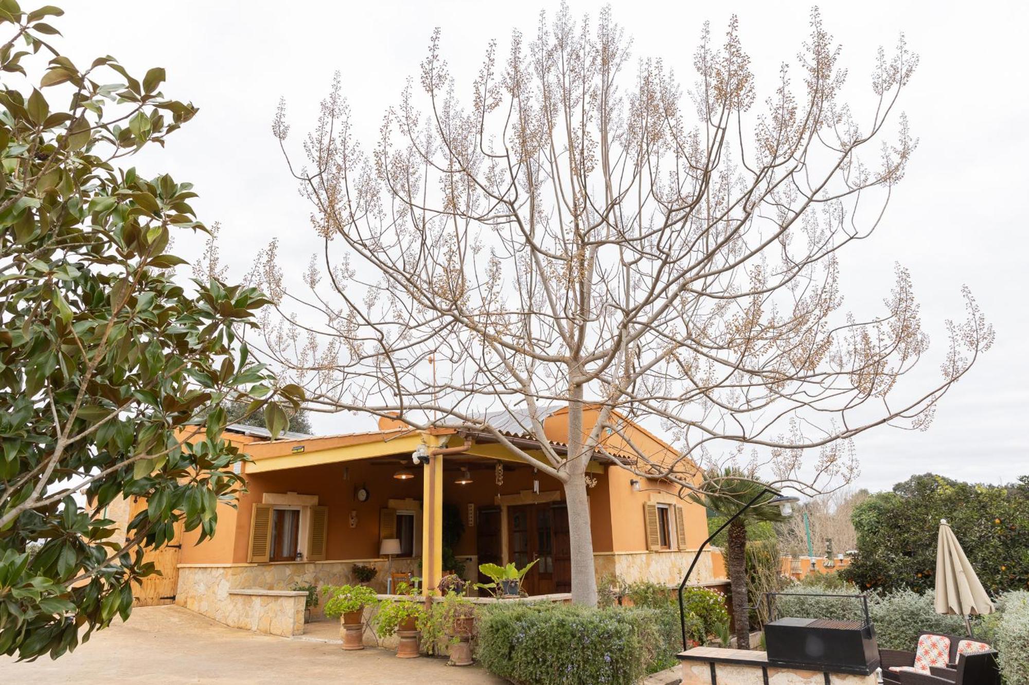 Yourhouse Sa Caseta Villa